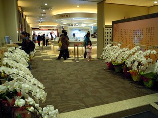 DSCN0227.JPG