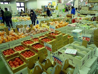 DSCN1261.JPG