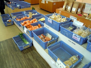 DSCN1277.JPG