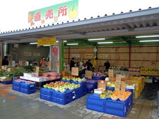 DSCN1379.JPG